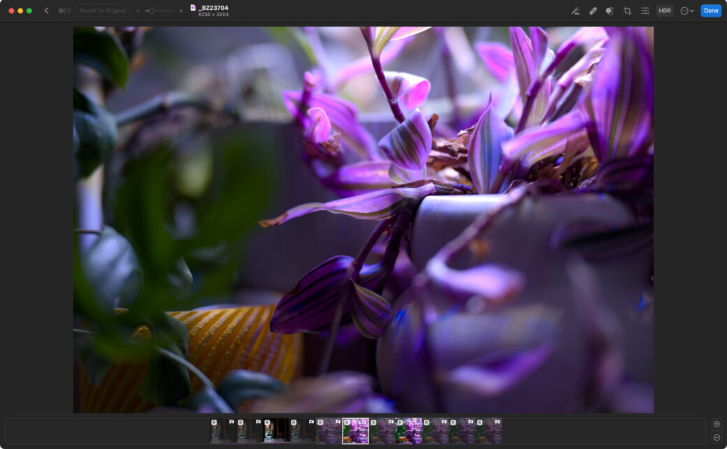 Photomator selects