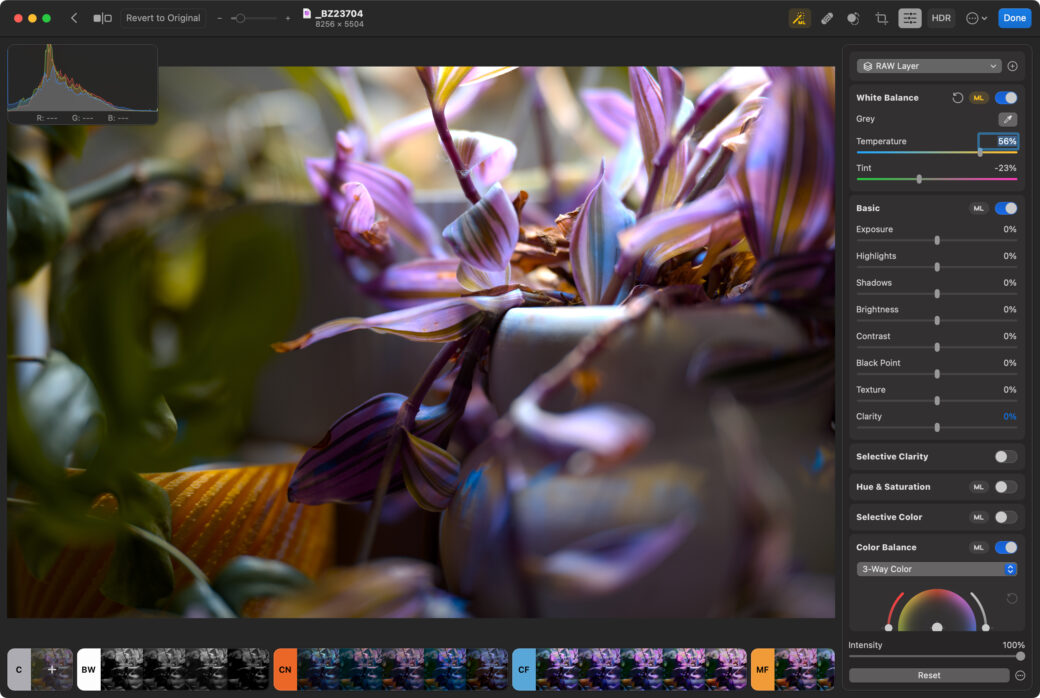Photomator raw processing