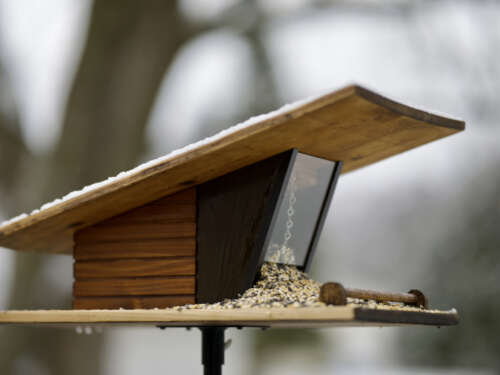 A wooden bird feeder with a slanted roof and a clear window filled with birdseed.